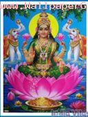 Jai shre laxmi mata ji ki