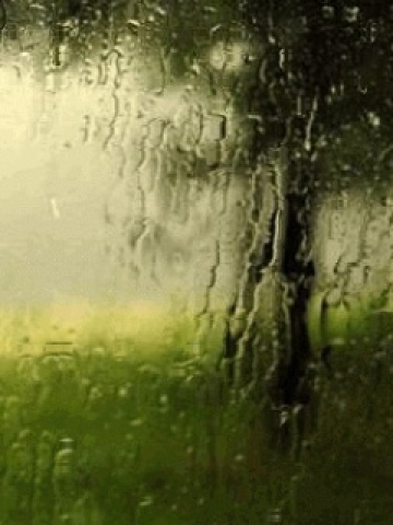 Download Animated rain - Abstract love wallpaper for your mobile cell phone