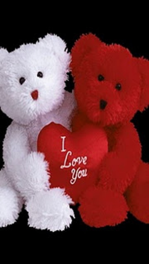 Download Teddy red and white love - Miss you hd wallpapers for your mobile  cell phone