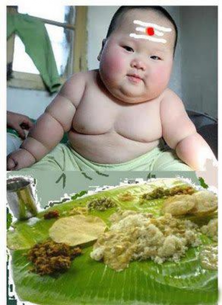 Download Cute fatty boy eating itali dosa - Funny wallpapers for your  mobile cell phone