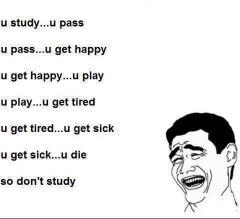 Download So dont study - Funny wallpapers for your mobile cell phone