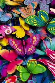 Download Colorful butterflies - Abstract iphone wallpaper for your mobile  cell phone