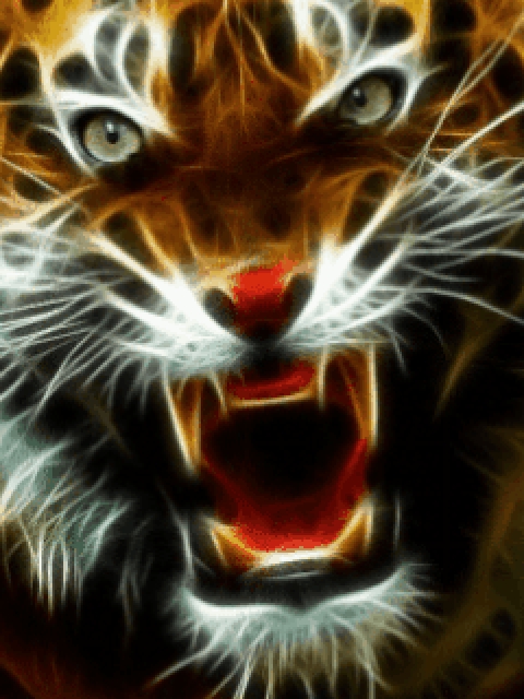 Download Tiger animated screensaver - Animated screensaver for your mobile  cell phone