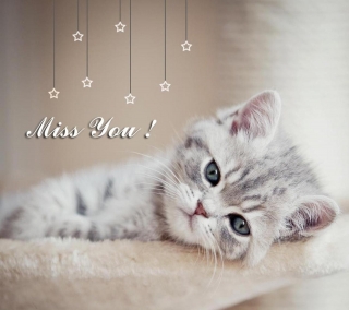 Download Sweet cat miss you - Miss you hd wallpapers for your mobile cell  phone