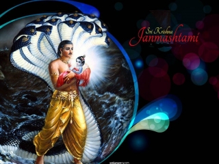 Download Best wallpaper for janamashtmi - Janmashtami wallpapers for your mobile  cell phone