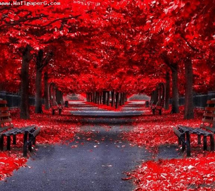 Download Empty red road - 3d hd nature wallpapers for your mobile cell phone