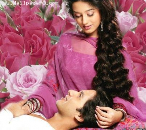 Download Amrita rao and shahid kapoor - Bollywood movie wallpaper for your  mobile cell phone