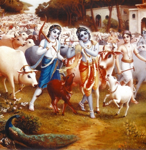 Download Krishna with cows - Janmashtami wallpapers for your mobile cell  phone