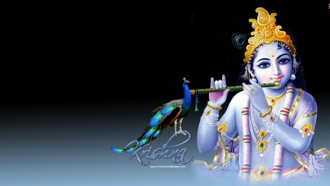 Download Krishna with flute - Janmashtami wallpapers for your mobile cell  phone