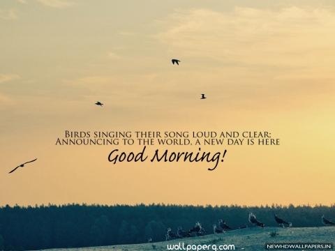 Good morning wishes quote image hd