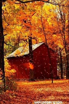 Autumn with house hd wall