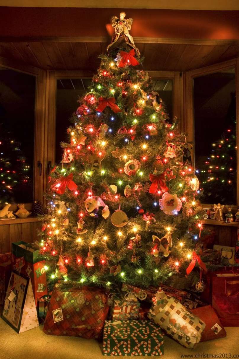 Wonderful christmas tree images