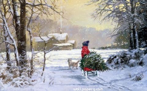 Carrying the christmas tree