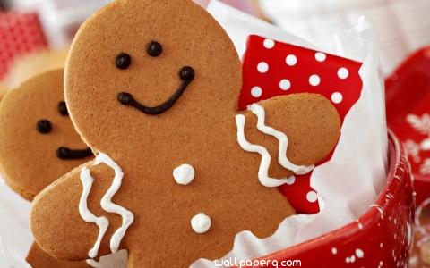 Christmas and new year cookies