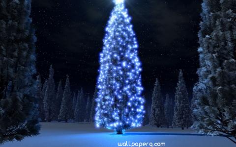 Christmas blue tree