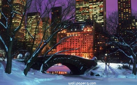 Christmas c. park ny