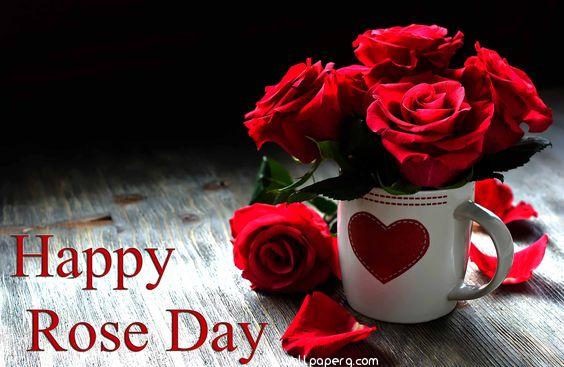 Rose day hd images