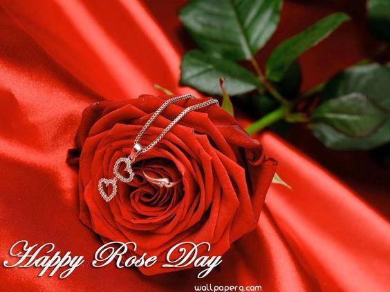 Wishing you happy rose day