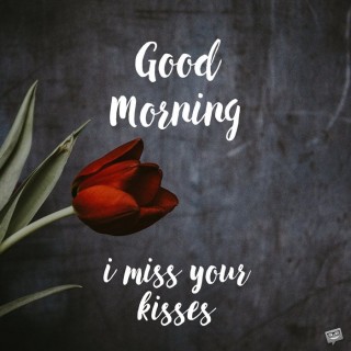 Good morning i miss your 