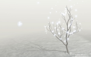 Christmas fairies
