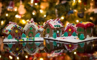 Christmas ginger bread house