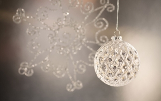 Christmas globe