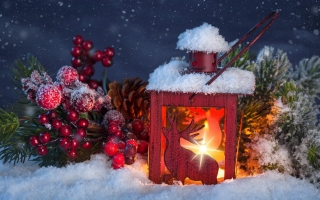 Christmas lights and ornaments