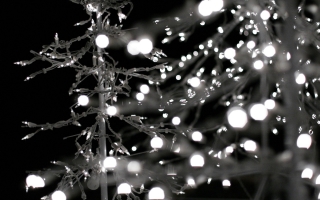 Christmas lights monochrome