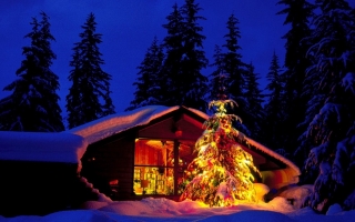 Christmas night