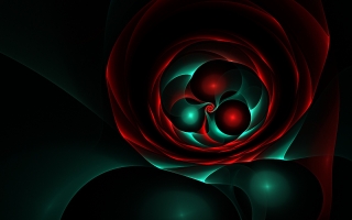 Christmas rose