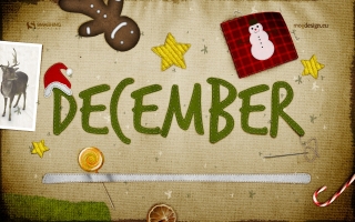 Christmas stuff