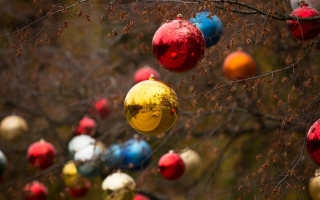 Colorful christmas ornaments