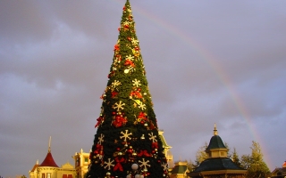 Disneyland tree