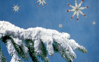 Fir tree arm