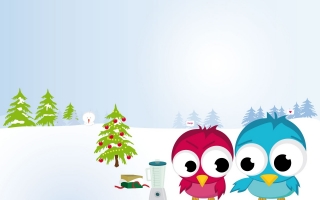 Funny christmas birds