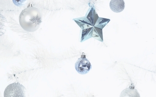 Silver ornaments