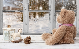 Toy bear beside window
