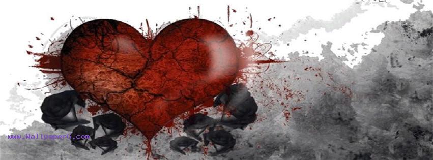 Broken heart black rose fb cover