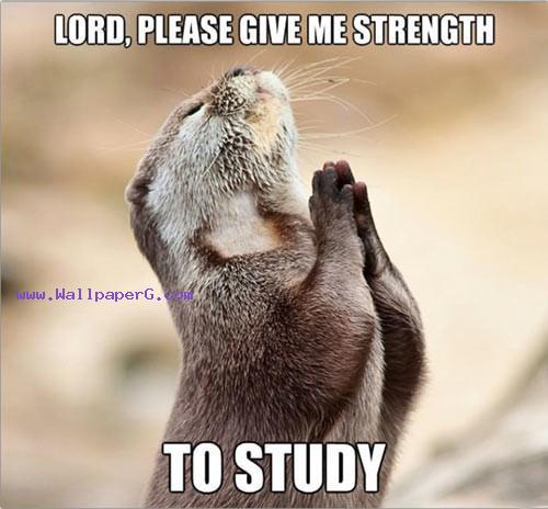 Strength to study
