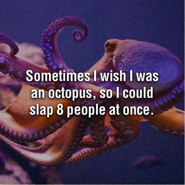 I wish to be an octopus