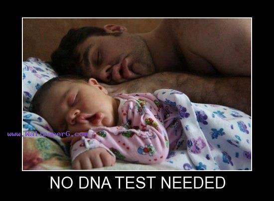 No dna