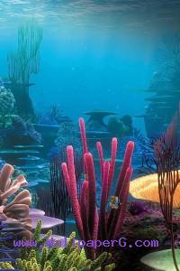 Sponges in water