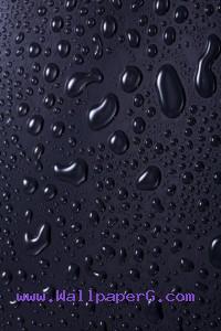 Water droplets on black