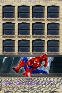Spider