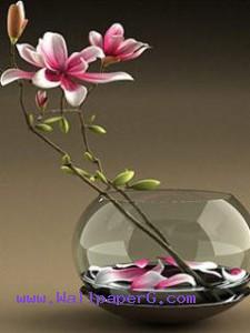 Pink flowers in a glass