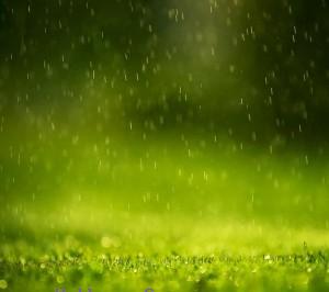 Green rain