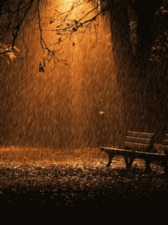 Download Rain in dark night - Cool animated wallpapers for your mobile cell  phone