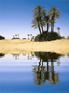 Oasis