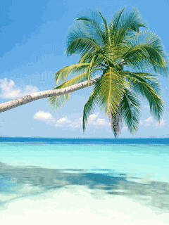 Beautiful beach 1