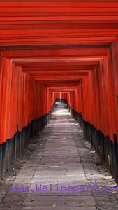Red black